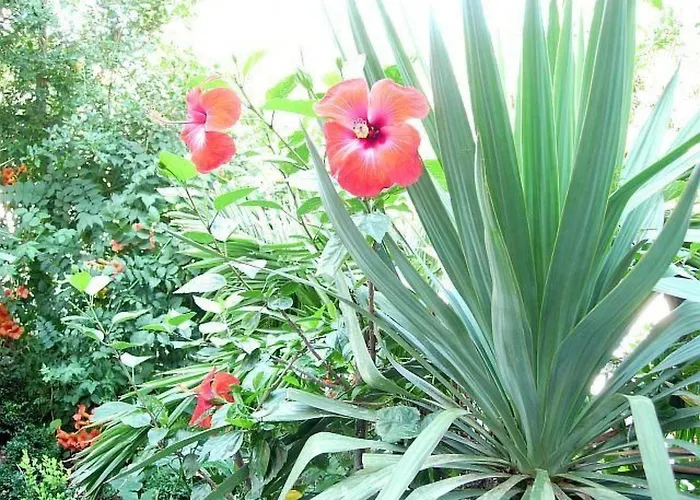 Huebsche Fuer Zwei By Interhome ביוגראד נה מורו